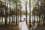 forest perth wedding photographer