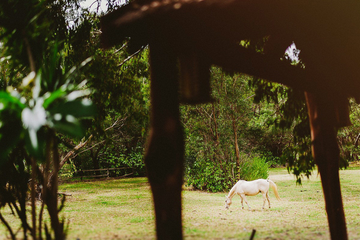 white horse chapel farm