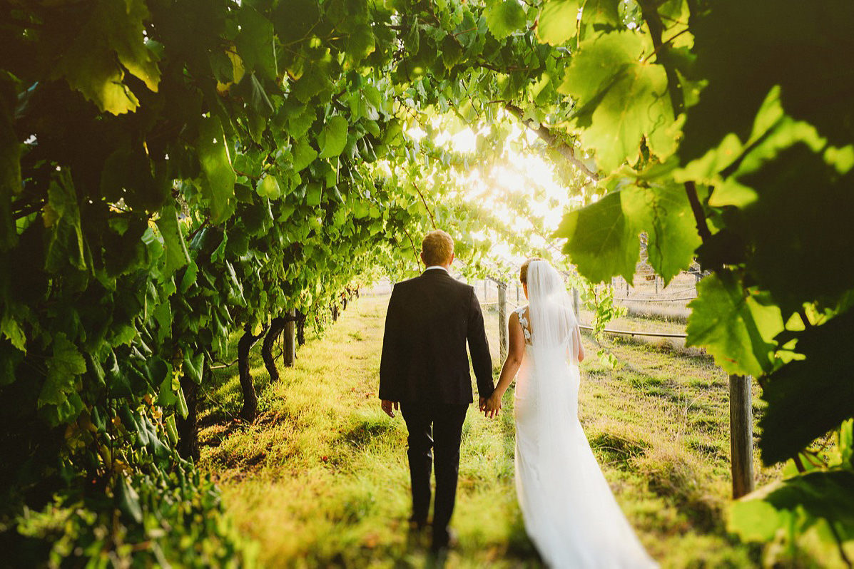 newlyweds holding hands in vineyards